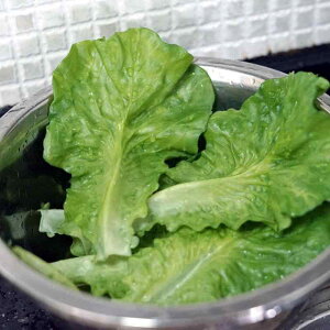 Hi Tv A { H ^X t tFCN  fBXvC  t Lxc   \tg tFCN