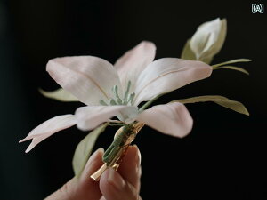 wAANZT[ g AeB[N GXjbN  S[WX ߑ AWAeCXg  ANZT[ т₩  񂴂