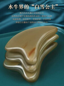 c{ }bT[WR[ tFCV PA  GXe  E  G fB[X g fB[X