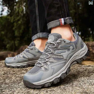 Y fB[X nCLOV[Y C y ʋC h ϖ Y AEghA X|[c V[Y L