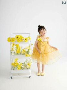 q LbY ̎q t@bV  ʐ^Be  g tHg X^WI ߑ 킢  hX