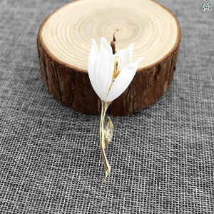 u[` ANZT[  ⃁bL bL AJ  A lH M RT[Ws fB[X fB[X K[