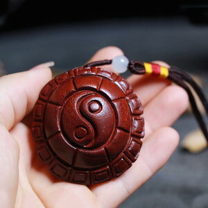  ANZT[ t h Ɍ T L[z_[  T b nhs[X Y fB[X nh  s[X