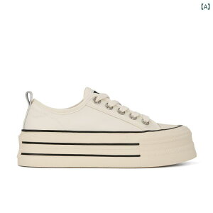 Xj[J[  fB[X V[Y t@bV Vv JWA W[ ʋ ʊw fC[ }`V[