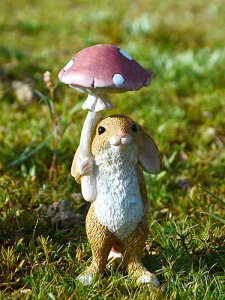 u  K[fjO I[ig  | fBXvC CeA  ig 킢 g ₩ `[t    rbg oj[