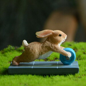 u K[fjO I[ig  fBXN  fBXvC CeA  ig 킢 g ₩ `[t   Aj} ^