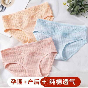 }^jeB[ V[c  Dw Y  fB[X  V[c DP      T|[g 傫߃TCY V[c