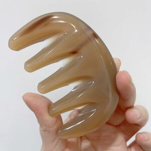 wAPA }bT[WR[   Mtg uV  PA  L  E  G fB[X g fB[X