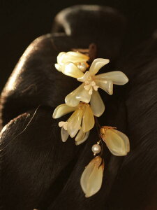 wAANZT[ g AeB[N GXjbN  S[WX ߑ AWAeCXg  ANZT[  񂴂