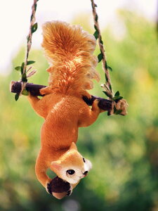 K[fjO I[ig 킢 X   O  Ǌ|  oRj[ ct c[  y_g