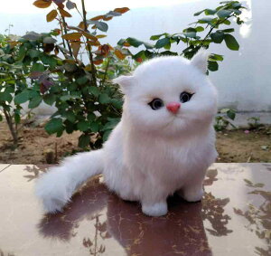 L 킢 V~[V  L tFCNL    EBhE V[ CAEg tFCNt@[