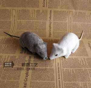 nEB[  ^ V~[V }EX pfB[ V~[V }EX   | 