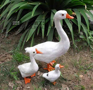 ^ ͌^ tBMA H Xe[V K`E ƒ{ z[ i VbsO[  EBhEfBXvC i