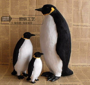 yM 킢 ^ ͌^ tBMA yM i    i ct Cm p[N  fXNgbvI[ig