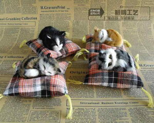 L 킢 fXNgbvI[ig ItBX i j eF Fl Mtg EFfBOACfA  