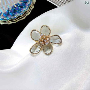 w fB[X ANZT[ t[ AJ g O t@bV lw  I[V[Y