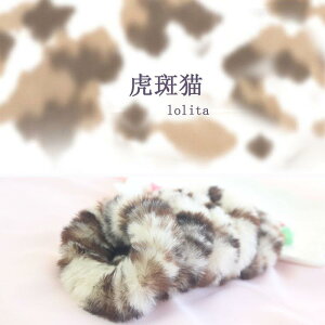 [^ t@bV ӂӂ wA S 1 g g L OєL [^ _u |j[e[ wA [v  nh X[u wAANZT[