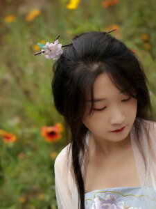 񂴂   AWTC X[p[ tFA[  wAs | wAs p[}  wAs `Ci AeB[N