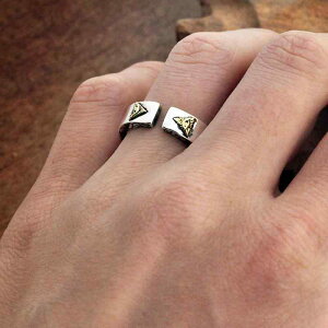 w  X^[ O Vo[ g  zX̖ qbv zbv zX̖ Y ^C pN I[v ANZT[