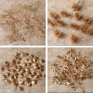 NX}X I[ig NX}X  nEX x ~j NX}Xc[  t   s[X y_g I[ig 