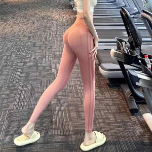 Xpbc MX tBbglX X|[cEFA OXpbc K GNTTCY W jO  fB[X