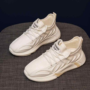 C V[Y X|[c Xj[J[ g[jO ^C fB[X  ʋC tC E[u bV zCg JWA w Ռz jO oh~g