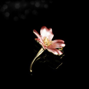 u[`  Ǝ w Zj[ fB[X t  G nmL  I  RT[W ؍