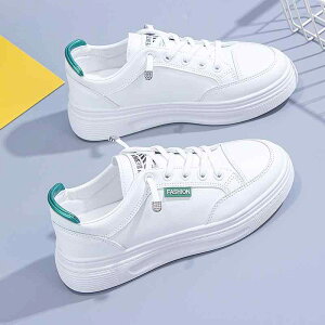 fB[X wlC t w X|[c W[ zCgC 傫 q Xj[J[ R Vv n