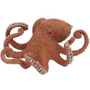 ^R NQ Cm tBMA ͌^  zr[ l` RNV CeA ~j`A A `bN q v[g 