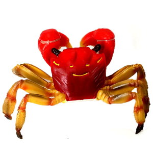 Jj Cm tBMA ͌^  zr[ l` RNV CeA ~j`A A V~[V `bN q v[g 