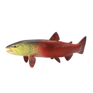  Mы Cm tBMA ͌^  zr[ l` RNV CeA ~j`A A q v[g  킢 jZbNX