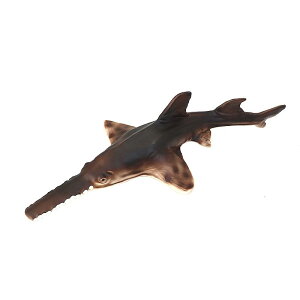 Cm tBMA ͌^  zr[ l` RNV CeA ~j`A A \tgo[ mRMGC }^ q v[g 