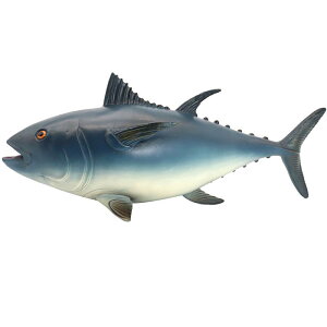 }O  Mы Cm tBMA ͌^  zr[ l` RNV CeA ~j`A A 傫 \tgo[ `bN