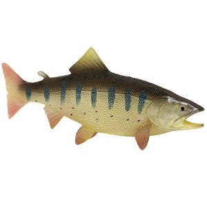 TP  Mы Cm tBMA ͌^  zr[ l` RNV CeA ~j`A A tO q  v[g `bN