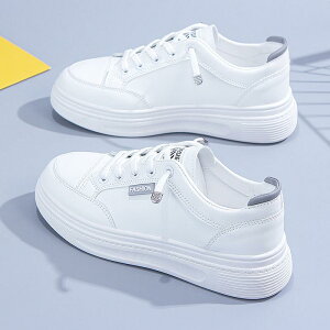 X|[c V[Y ̎q  C H~ JWA w tbg fB[X ^C EhgD