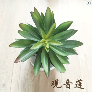  A A ƒ i fBXvC CeA A R i` rO fR[V