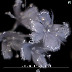 ANZT[  fB[X WG[ ԉ ؍ H wbhhX 킢 EFfBO hX CujOhX hbVO KE wAANZT[ a