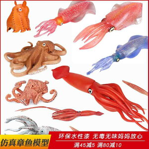 ^R CJ Cm tBMA ͌^  zr[ l` RNV CeA ~j`A A NQ j̎q v[g q 