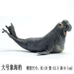 AVJ AUV ZCE` }ieB[ Cm tBMA ͌^  zr[ l` RNV CeA ~j`A A q  Mtg