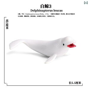 CJ NW AUV Cm tBMA ͌^  zr[ l` RNV CeA ~j`A A ~j Mtg q fBXvC