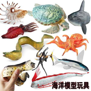 }{E E~K Cm tBMA ͌^  zr[ l` RNV CeA ~j`A A  Mtg Ec{ q 