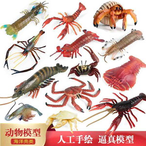 hJ Gr Jj Cm tBMA ͌^  zr[ l` RNV CeA ~j`A A q UKj `bN 