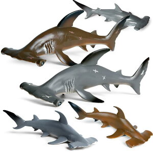 T Cm tBMA ͌^  zr[ l` RNV CeA ~j`A A q `bN fBXvC  v[g