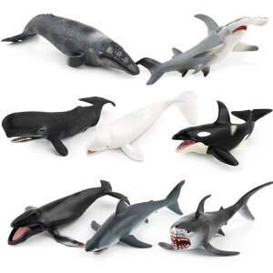 T Jj ^cmIgVS Cm tBMA ͌^  zr[ l` RNV CeA ~j`A A q  fBXvC