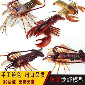 Gr Jj bk Cm tBMA ͌^  zr[ l` RNV CeA ~j`A A q fBXvC `bN 