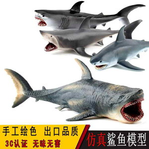 T Cm tBMA ͌^  zr[ l` RNV CeA ~j`A A q j̎q ̎q v[g V~[g 