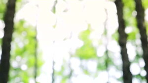 EF[fBO V[Y  EF[fBO V[Y C\[ EVE Y  ʋC ɂ AEghA ނ T_