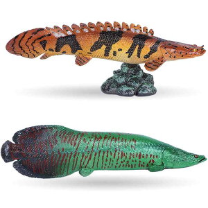 T[  Cm tBMA ͌^  zr[ l` RNV CeA ~j`A A Ai W q j̎q ̎q 