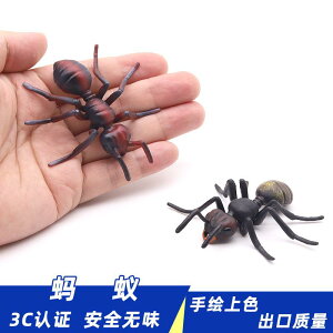 A  tBMA ͌^  zr[ l` RNV CeA ~j`A A V~[V q Mtg   fBXvC