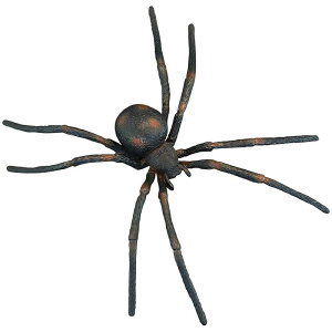 N  tBMA ͌^  zr[ l` RNV CeA ~j`A A q w Mtg i  fBXvC